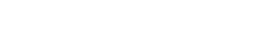 Goodall Homes and Chorus Partnership